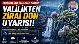d 3 original