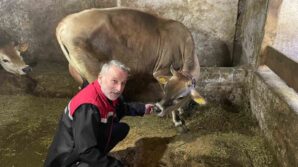 danimarka ve amerikadan getirildiler ofa kisa surede uyum sagladilar b67nCsEO