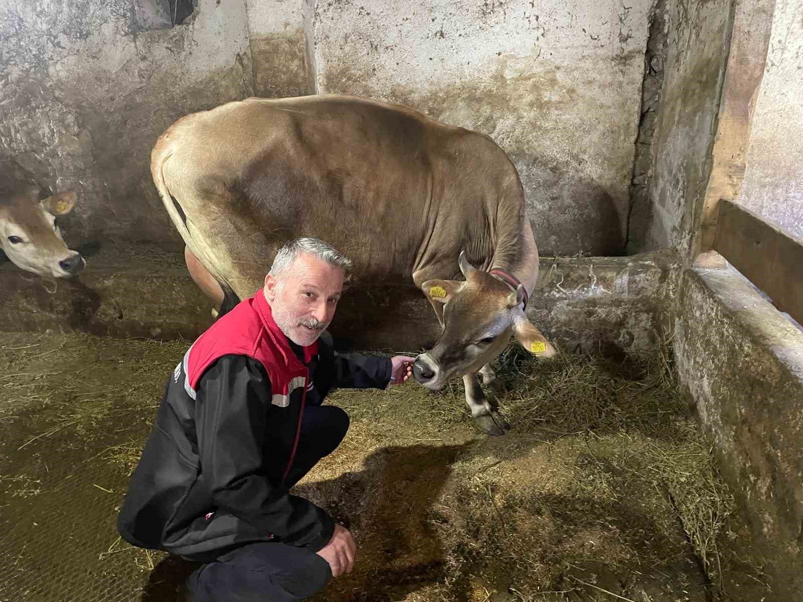 danimarka ve amerikadan getirildiler ofa kisa surede uyum sagladilar b67nCsEO