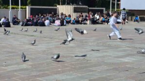 dikkat dagitan ortama ragmen dikkat cekmeyi basardilar CWuqJHIv