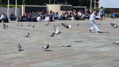 dikkat dagitan ortama ragmen dikkat cekmeyi basardilar CWuqJHIv