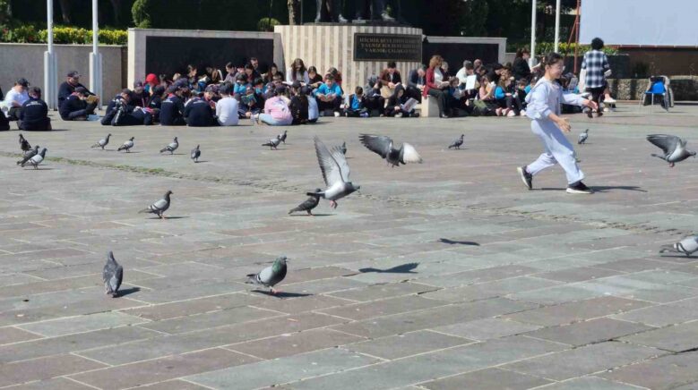 dikkat dagitan ortama ragmen dikkat cekmeyi basardilar CWuqJHIv