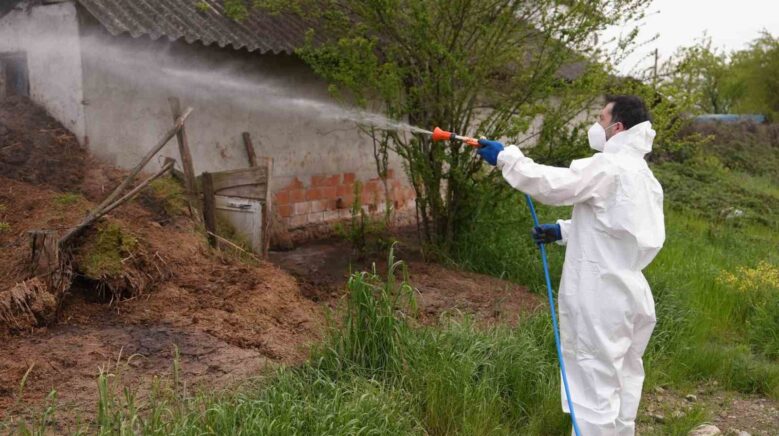 duzcede daha ucmadan bitirmek icin mucadele basladi OmifyyQQ