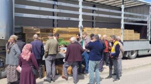 kastamonuda ciftcilere 147 bin adet sebze fidesi dagitildi PGFOtdkV