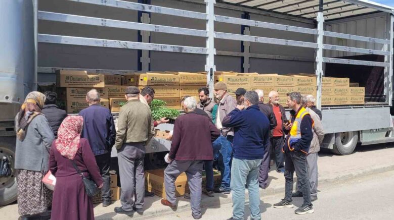 kastamonuda ciftcilere 147 bin adet sebze fidesi dagitildi PGFOtdkV