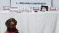 kastamonuda uyusturucu operasyonu 1 tutuklama qgg1VZ7U