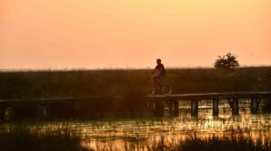 kizilirmak deltasi kus cennetinde bahar coskusu xkFg21DJ