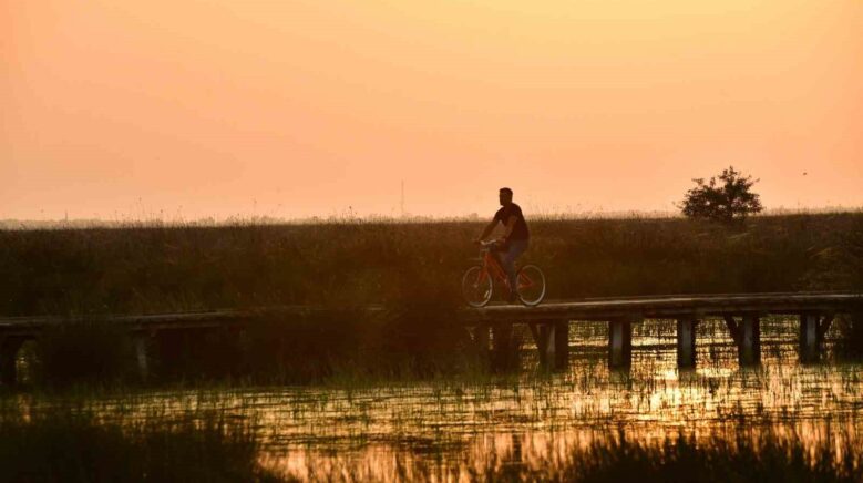 kizilirmak deltasi kus cennetinde bahar coskusu xkFg21DJ
