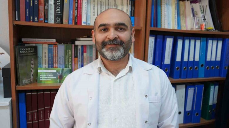 uzmani uyardi kar ortusu keneleri yok etmiyor GNy3PiRs