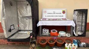zonguldakta jandarmanin uyusturucu operasyonunda 2 supheli tutuklandi wx5bGhM7
