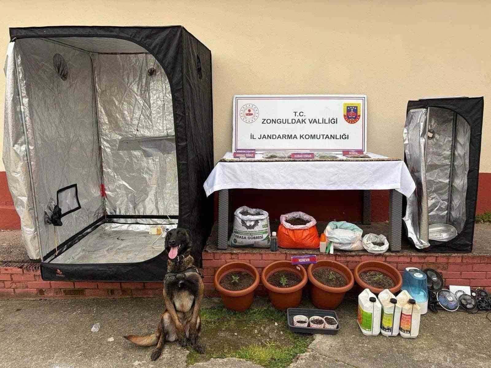zonguldakta jandarmanin uyusturucu operasyonunda 2 supheli tutuklandi