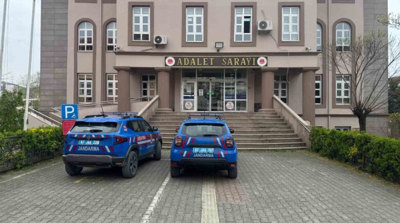 zonguldakta sus bitkisi bahcesinde uyusturucu ozellikli kaktus ele gecirildi s6BOgAyS