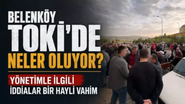 3c8a800d f03d 4aad 8409 c5dfb98b3a34