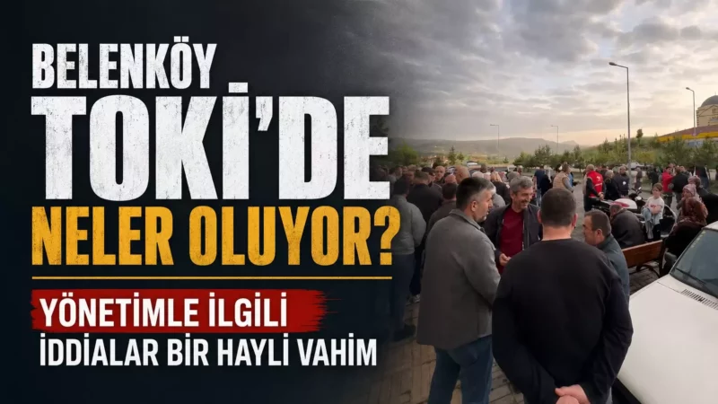 3c8a800d f03d 4aad 8409 c5dfb98b3a34