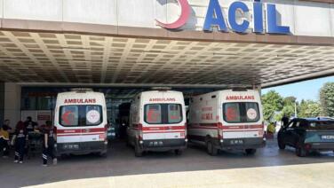 duzcede bayramin ilk gunu 154 acemi kasap hastanelere kostu UTLACRAX