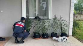 evini kenevir bahcesine ceviren sahis yakalandi mfIEm2t6