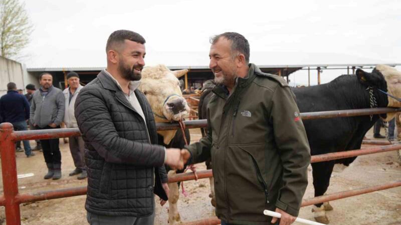 kastamonuda kurban bayrami hareketliligi 850 kilogramlik tosun 340 bin liraya alici buldu LcIXMLNg