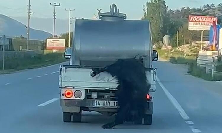 kurbanligi aractan sarkitip kilometrelerce surukledi iC3ReIZs