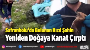 s 6