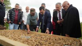 topraktaki altin salebin hasadi basladi kilosu 12 bin tl rQZH6dQ9