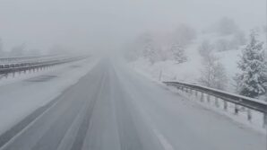 zonguldakta mayis kari SHVlZV5k