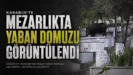 18 Haz 2026 15 05 32