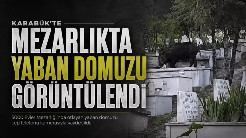 18 Haz 2026 15 05 32