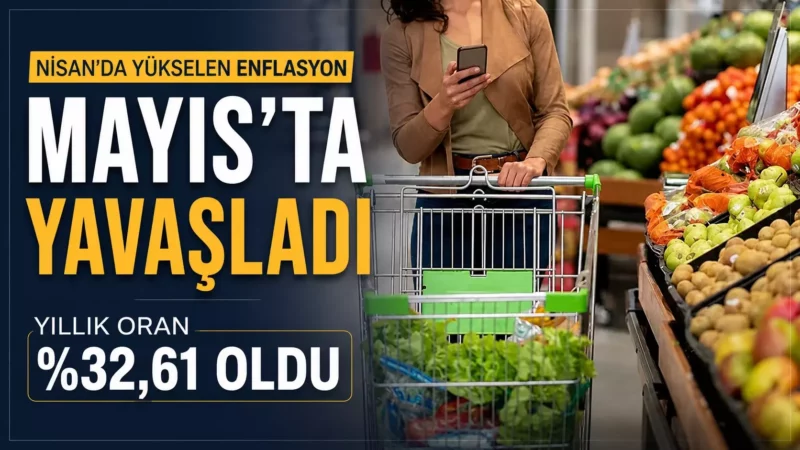 25ab82a6 d7d5 45e5 8c1b c5cd11af10d3