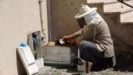 Arilar apartmani sardi komsu arici yardima kostu