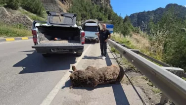 Tunelde baslayan yasam mucadelesi cayda son buldu2