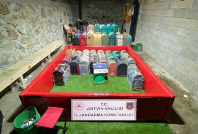 artvinde horoz dovusune jandarma baskini 39 kisiye toplam 500 bin lira ceza YcljP8m7