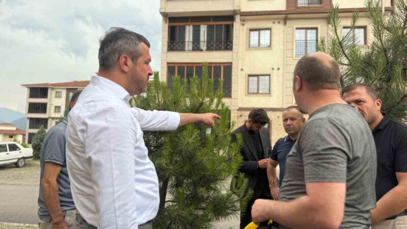 baskan cetinkayadan belen tokiye tema park mujdesi l2zq4uUx