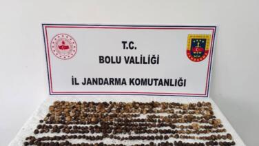 boluda yabani salep toplayan 3 kisiye rekor ceza 2 milyon 97 bin tl jezA8qcD