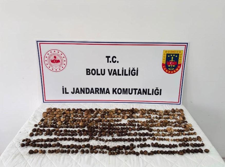 boluda yabani salep toplayan 3 kisiye rekor ceza 2 milyon 97 bin tl jezA8qcD