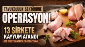 df923ad7 9bb6 490a a07e 1d1ff4365096