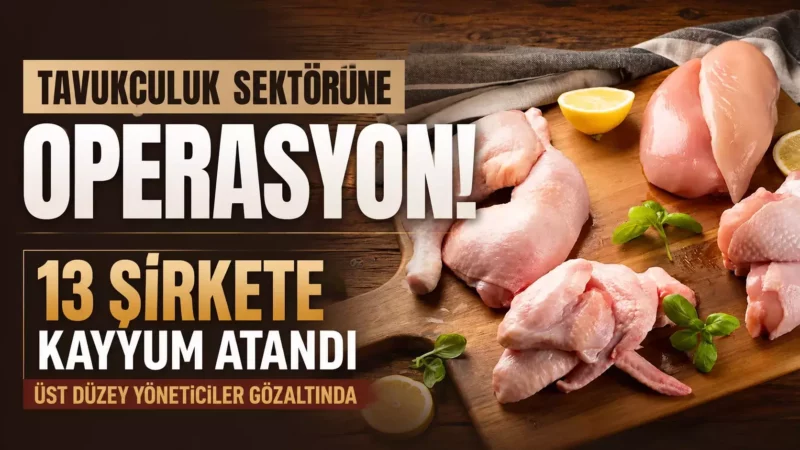 df923ad7 9bb6 490a a07e 1d1ff4365096