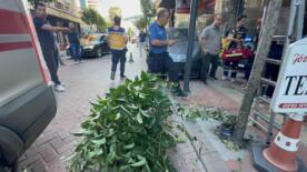 fren yerine gaza basti iki agaci devirip duvara carptiktan sonra durabildi 8qY4uwiM