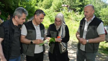 kestane ormanlarini korumak icin 5 bin samuray arisi dogaya salindi vj4l1Qru