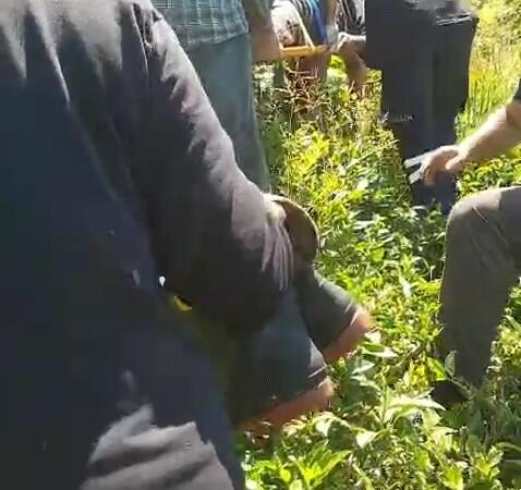 kiraz toplamak icin ciktigi agactan dustu dwAac7uW