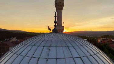 leylekler gun batimini cami kubbesinde karsiladi mest eden anlar havadan goruntulendi pEIiJdYF