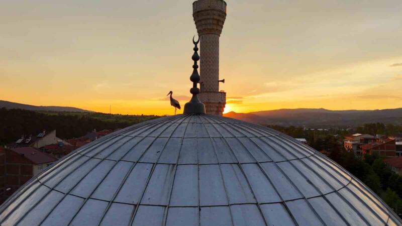 leylekler gun batimini cami kubbesinde karsiladi mest eden anlar havadan goruntulendi pEIiJdYF