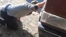tokatta aracin motor kismina giren yilani itfaiye ekipleri kurekle yakaladi xzVGmxZz