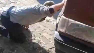tokatta aracin motor kismina giren yilani itfaiye ekipleri kurekle yakaladi xzVGmxZz
