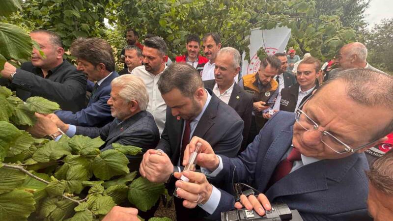 trabzonda kahverengi kokarcaya karsi dogal ordu goreve basladi yyw1M8xj