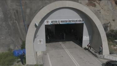 tunelde uretilen istiridye mantarinin ilk hasadi gerceklestirildi 7AY5sJU7