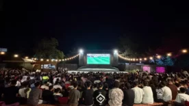 Dunya kupasi final heyecani Yenisehir yazlik sinemada yasandi