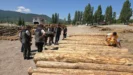 Eskipazar ormanlarinda saha incelemesi ve denetim