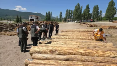 Eskipazar ormanlarinda saha incelemesi ve denetim