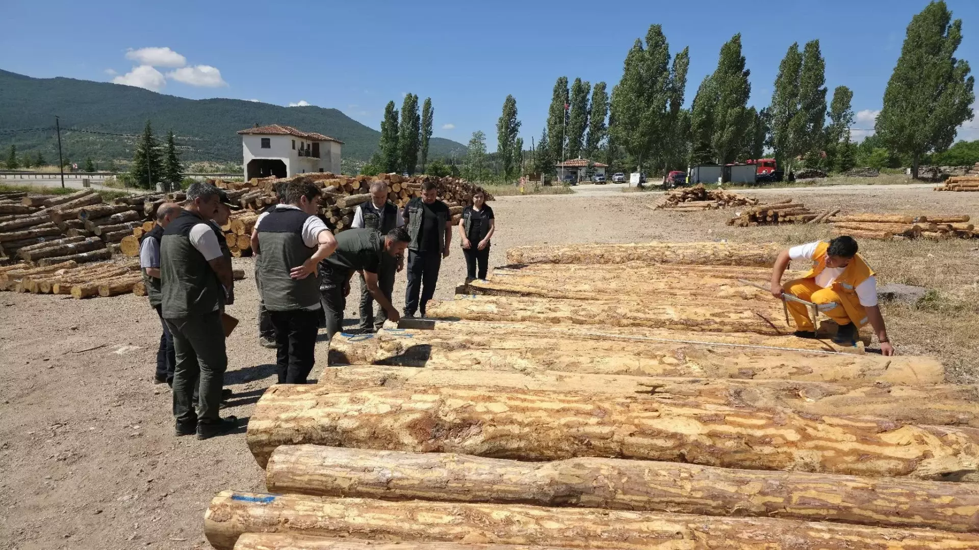 Eskipazar ormanlarinda saha incelemesi ve denetim