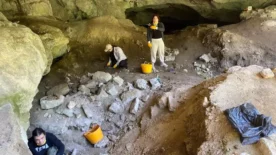 Kelemen Magarasinda tarihe isik tutacak kazi basladi